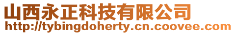 山西永正科技有限公司