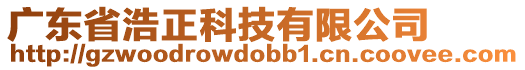 廣東省浩正科技有限公司