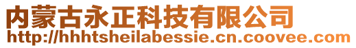 內蒙古永正科技有限公司