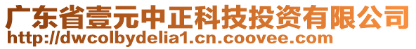 廣東省壹元中正科技投資有限公司