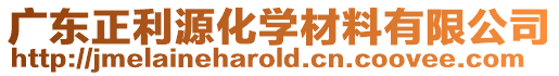 廣東正利源化學(xué)材料有限公司