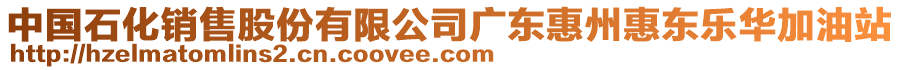 中國石化銷售股份有限公司廣東惠州惠東樂華加油站