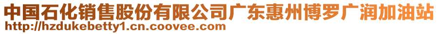 中國(guó)石化銷售股份有限公司廣東惠州博羅廣潤(rùn)加油站