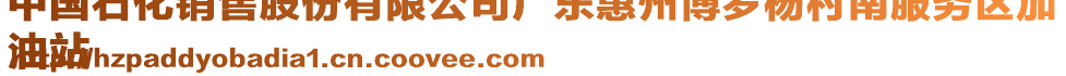 中國石化銷售股份有限公司廣東惠州博羅楊村南服務(wù)區(qū)加
油站