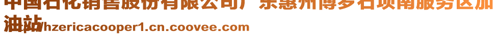 中國石化銷售股份有限公司廣東惠州博羅石壩南服務(wù)區(qū)加
油站