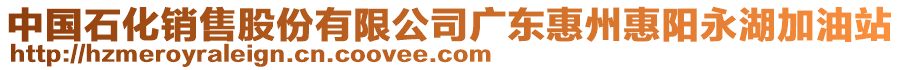 中國(guó)石化銷售股份有限公司廣東惠州惠陽永湖加油站