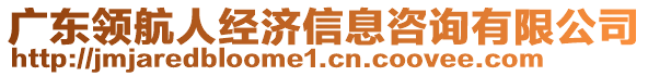 廣東領(lǐng)航人經(jīng)濟(jì)信息咨詢有限公司