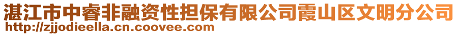 湛江市中睿非融資性擔保有限公司霞山區(qū)文明分公司