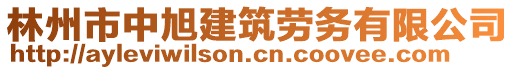 林州市中旭建筑勞務有限公司