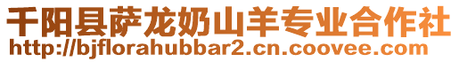 千陽縣薩龍奶山羊?qū)I(yè)合作社