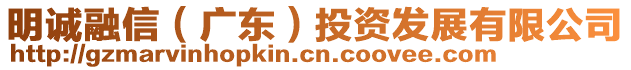 明誠融信(廣東)投資發(fā)展有限公司