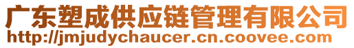 廣東塑成供應鏈管理有限公司