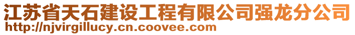 江蘇省天石建設工程有限公司強龍分公司