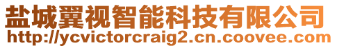 鹽城翼視智能科技有限公司