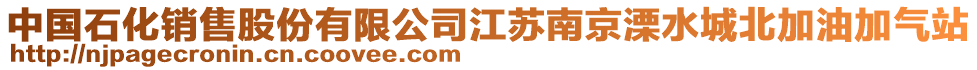 中國石化銷售股份有限公司江蘇南京溧水城北加油加氣站