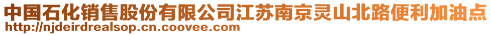 中國石化銷售股份有限公司江蘇南京靈山北路便利加油點