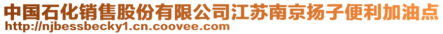 中國石化銷售股份有限公司江蘇南京揚(yáng)子便利加油點(diǎn)