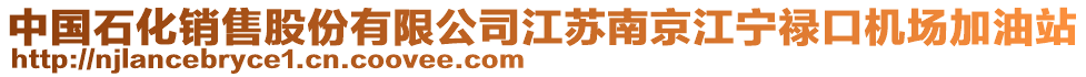 中國石化銷售股份有限公司江蘇南京江寧祿口機場加油站