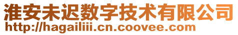 淮安未迟数字技术有限公司