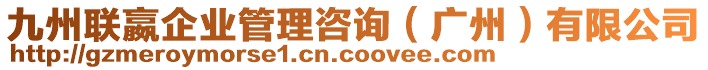 九州聯(lián)嬴企業(yè)管理咨詢（廣州）有限公司