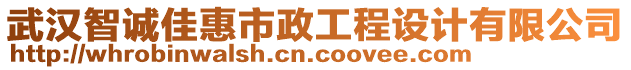 武漢智誠(chéng)佳惠市政工程設(shè)計(jì)有限公司