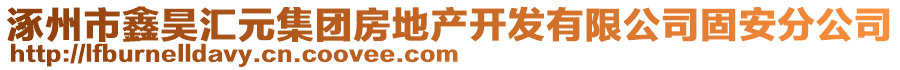 涿州市鑫昊匯元集團(tuán)房地產(chǎn)開(kāi)發(fā)有限公司固安分公司