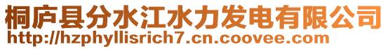 桐廬縣分水江水力發(fā)電有限公司