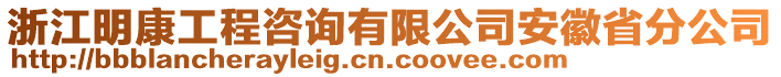 浙江明康工程咨詢有限公司安徽省分公司