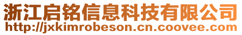 浙江啟銘信息科技有限公司