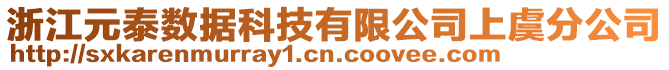 浙江元泰数据科技有限公司上虞分公司