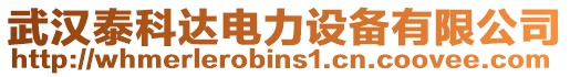 武漢泰科達電力設備有限公司