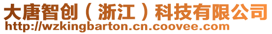 大唐智創(chuàng)（浙江）科技有限公司