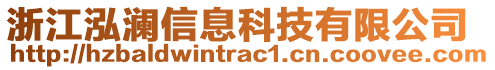 浙江泓瀾信息科技有限公司