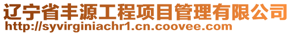 遼寧省豐源工程項目管理有限公司