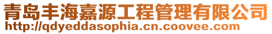 青島豐海嘉源工程管理有限公司