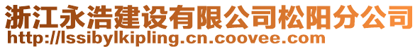 浙江永浩建設有限公司松陽分公司