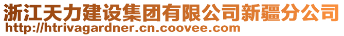 浙江天力建设集团有限公司新疆分公司