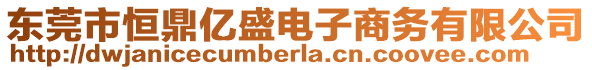 東莞市恒鼎億盛電子商務有限公司