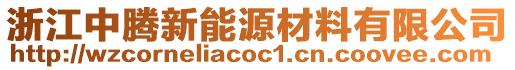 浙江中騰新能源材料有限公司