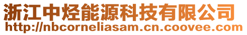 浙江中烴能源科技有限公司