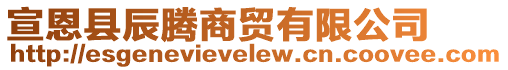 宣恩縣辰騰商貿(mào)有限公司