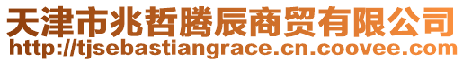 天津市兆哲騰辰商貿(mào)有限公司