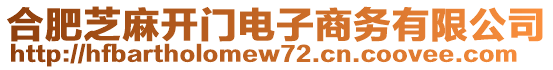 合肥芝麻開(kāi)門電子商務(wù)有限公司