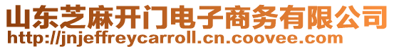 山東芝麻開(kāi)門電子商務(wù)有限公司