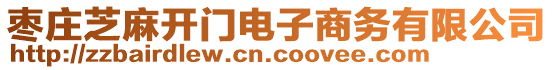 棗莊芝麻開門電子商務(wù)有限公司