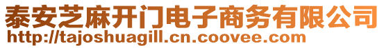 泰安芝麻開門電子商務(wù)有限公司