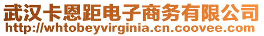 武漢卡恩距電子商務(wù)有限公司