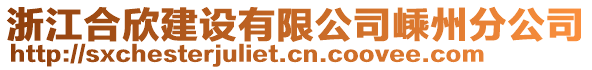 浙江合欣建設(shè)有限公司嵊州分公司