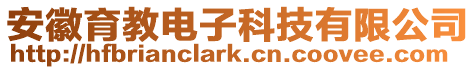 安徽育教電子科技有限公司