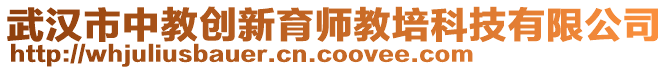 武漢市中教創(chuàng)新育師教培科技有限公司